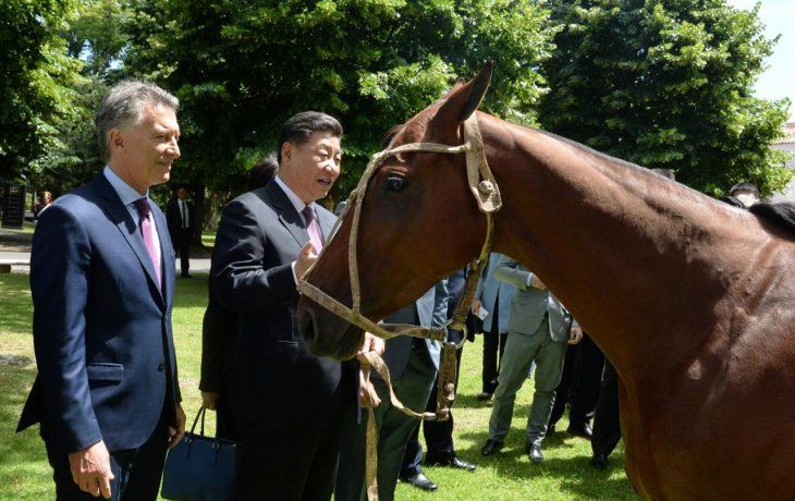 Mauricio Macri y Xi Jinping junto al caballo que Argentina le obsequió a China.