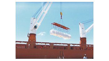 Los importadores globales esperan grandes exportaciones de soja y de harina de soja de Argentina y Brasil de comienzos de 2013 para aliviar la estrechez en el mercado mundial.
