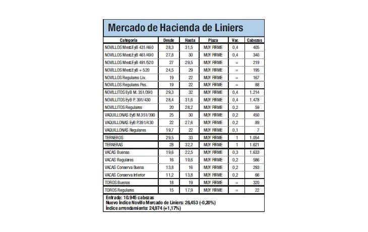 Leve baja para el Índice Novillo: 0,2%