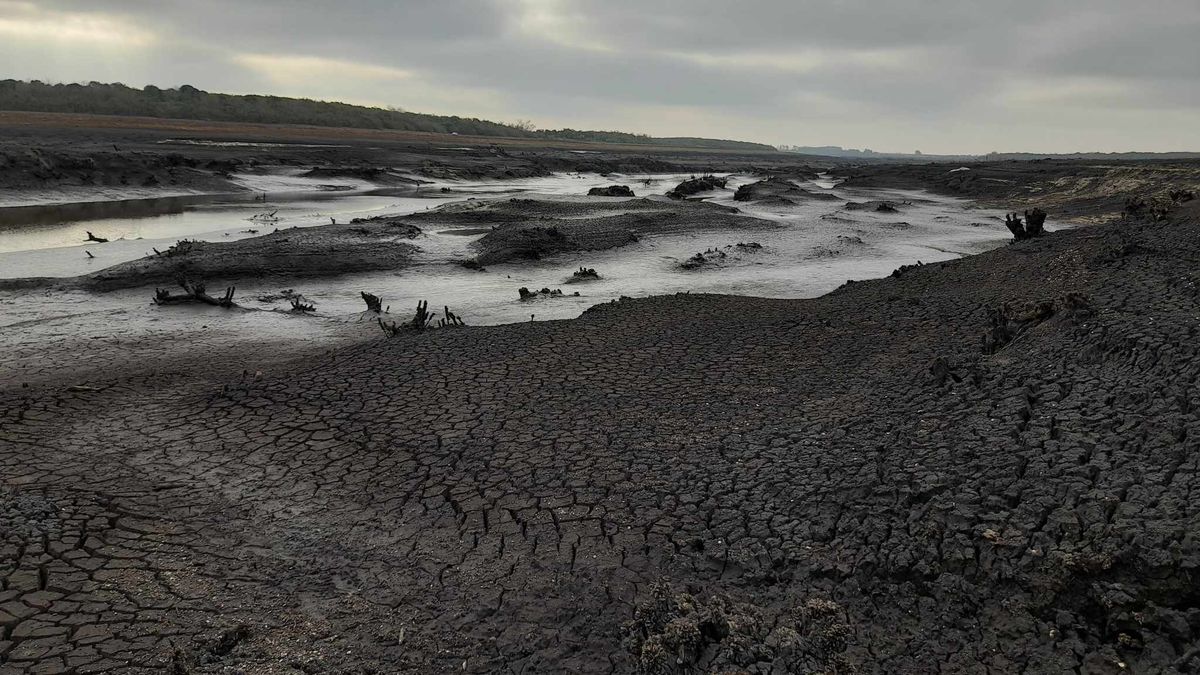 When will there be rains capable of reversing the water crisis in Montevideo? When will there be rains capable of reversing the water crisis in Montevideo?
