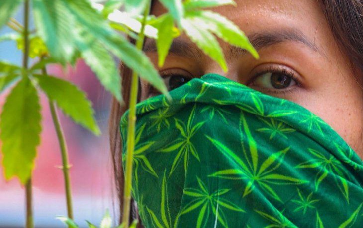 México se convertirá en el mayor mercado de marihuana del mundo.