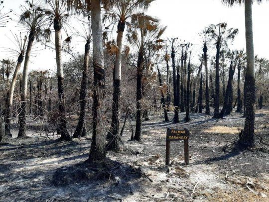 Los incendios del jueves pasado destruyeron un total de 80 hectáreas del parque provincial San Cayetano de Corrientes.