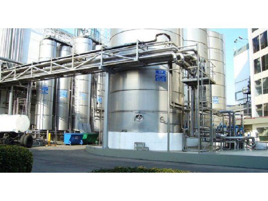 Molinos Semino: apuesta al realismo y la eficiencia