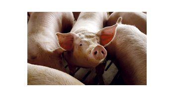 Washington acordó que sus suministros de carne de cerdo a Rusia estarían libres de un antibiótico que viola las normas de salubridad de los alimentos en Moscú.