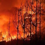 La oposición presentó una decena de proyectos en el Congreso. La oposición presentó una decena de proyectos en el Congreso.