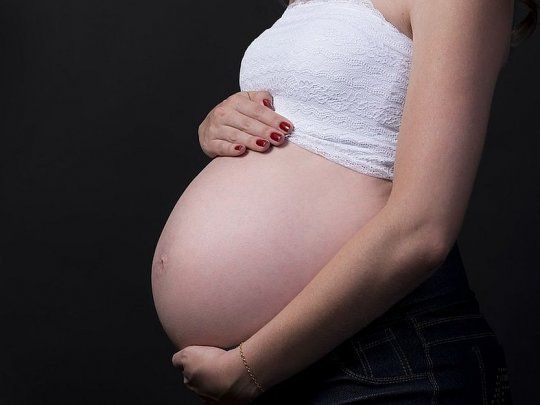 Las embarazadas que no consumen alimentos deben suplir la vitamina B12.