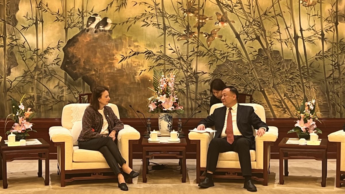 Diana Mondino confirmed that they will pay the swap with China and accused the previous Government of using it without transparency