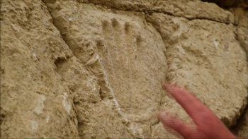 Misterioso hallazgo en Jerusalen.&nbsp;