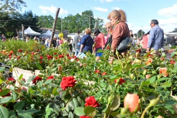 El pueblo te hace sentir como si fueras parte de un vivero gigante.