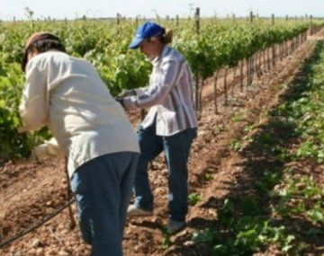 El sindicato de los trabajadores rurales acordó un aumento anual de casi 50% en las paritarias 2021. 