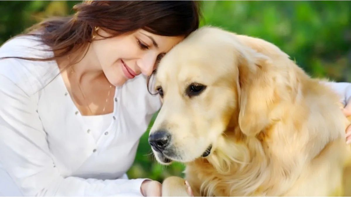 Women can reduce anxiety and depression with the company of a dog, according to Harvard