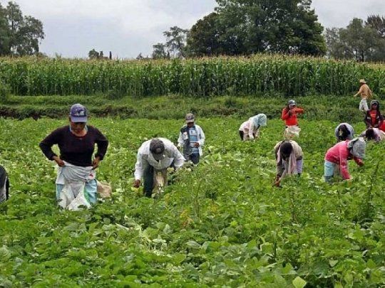 Campo trabajo Renatre.jpg