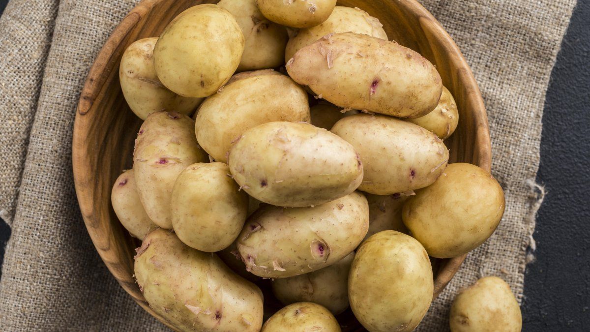 Argentine scientists develop a mutant potato