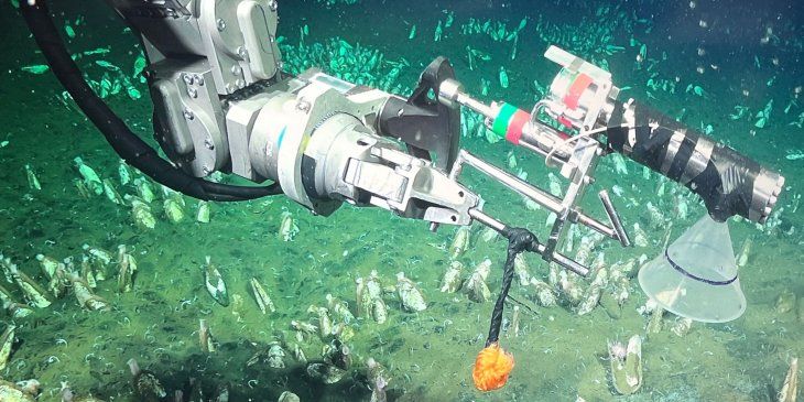 El CONICET ya realizó un streaming desde las profundidades del mar. El CONICET ya realizó un streaming desde las profundidades del mar.