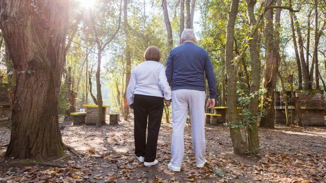 Un entrenamiento ideal para los adultos mayores.