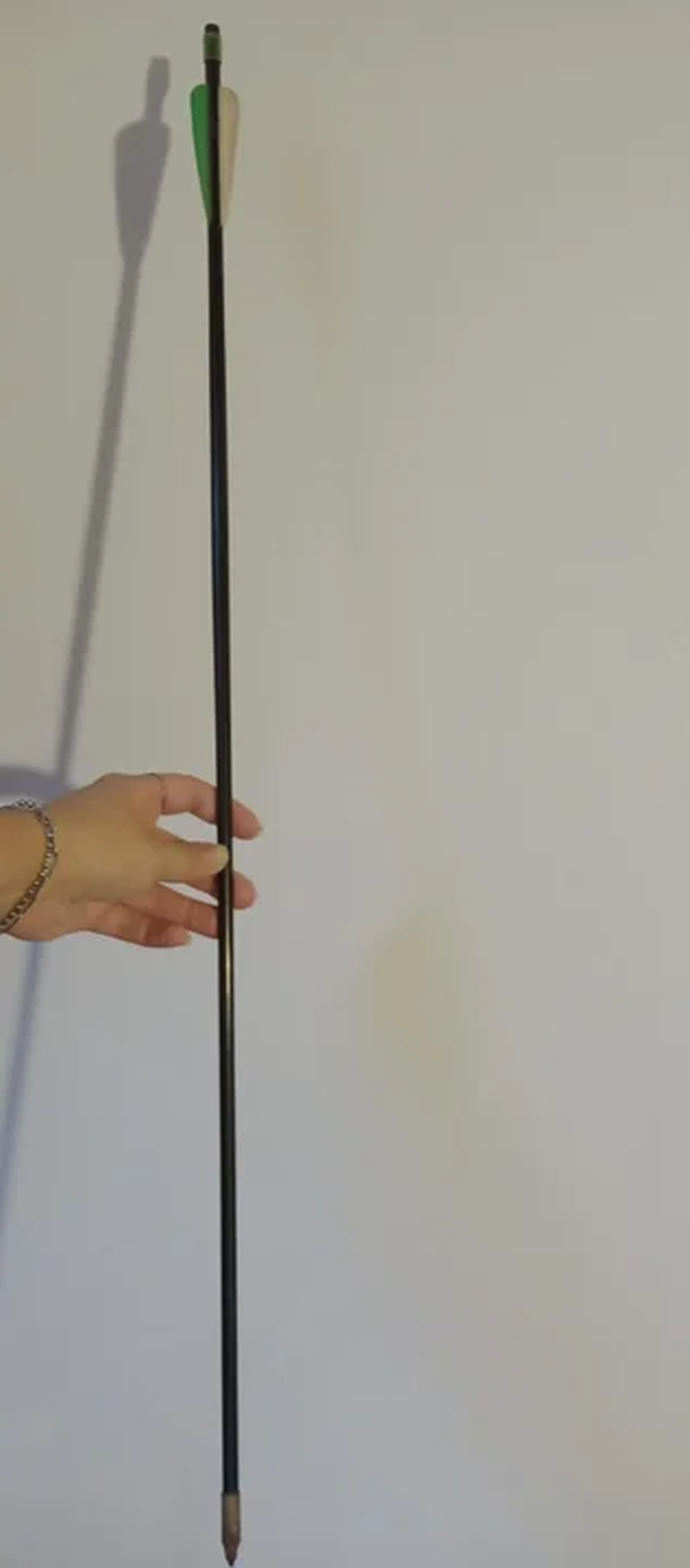 La denuncia describe cómo el niño, al ser alcanzado por la flecha, corrió asustado hacia su casa, gritando que le habían tirado algo. La denuncia describe cómo el niño, al ser alcanzado por la flecha, corrió asustado hacia su casa, gritando que le habían tirado algo.