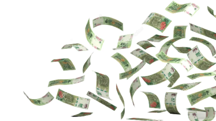 The Government cut the transfer of pesos to the different areas of Government. 