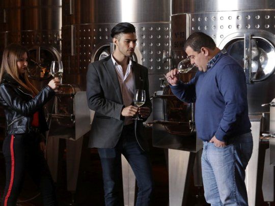 turismo y vinos3.jpg