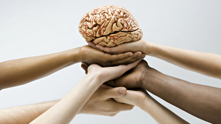 Cerebro