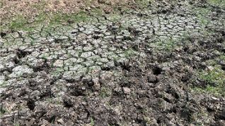 El gobierno evalúa el fin de la emergencia, a contramano del pedido del agro. El gobierno evalúa el fin de la emergencia, a contramano del pedido del agro.