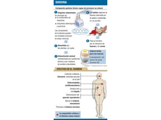 Polémica: dioxina en carnes alemanas