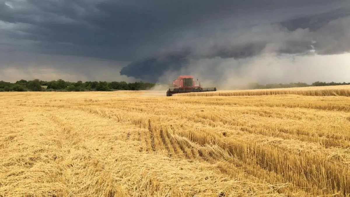 The rain up to 130 mm in the core region puts wheat and corn