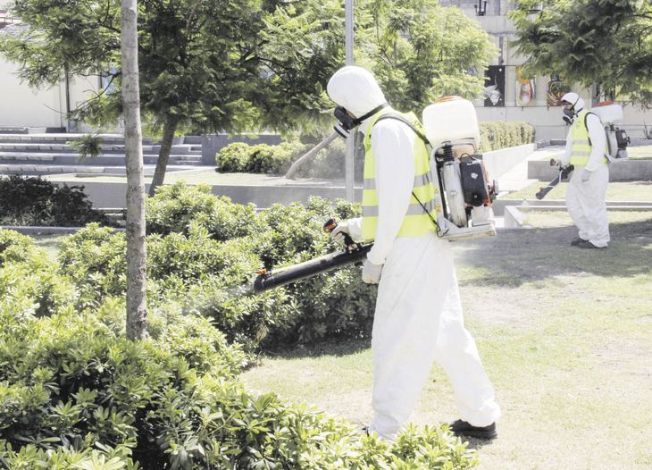 Eliminación. El mosquito Aedes aegypti se reproduce en cualquier recipiente natural o artificial que contenga agua, por lo que es muy importante vaciarlos tanto si están dentro como fuera de la casa.
