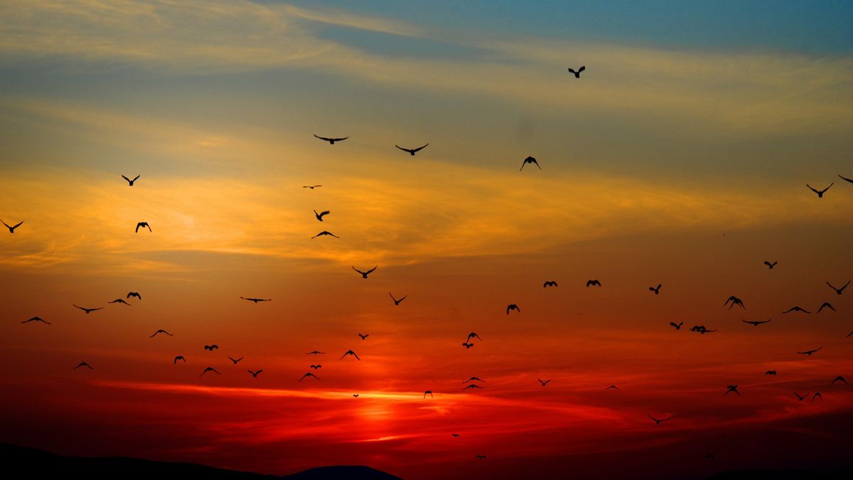 Dawn can be an end