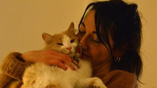 El Día de Abrazar a tu Gato se celebra cada 4 de junio para promover el cariño a esas mascotas. El Día de Abrazar a tu Gato se celebra cada 4 de junio para promover el cariño a esas mascotas.