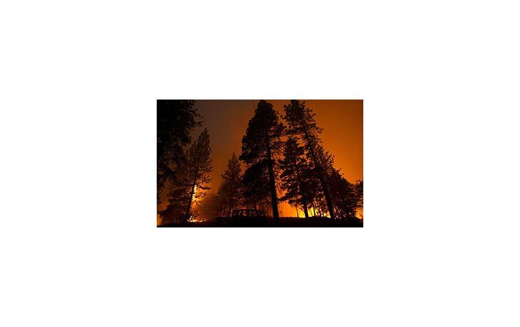 Avanzan los incendios forestales en California: más de 10 mil evacuados