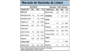 Bajas del 0,5% en los novillos