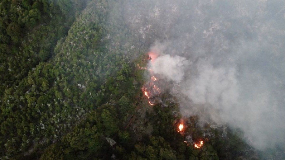 Fire in the Nahuel Huapi Park: the flames have already consumed more than 3,500 hectares