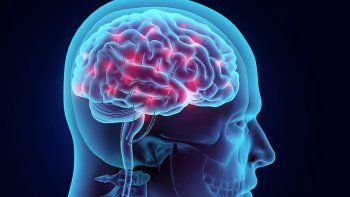 cerebro: cuales son los efectos que produce el silencio