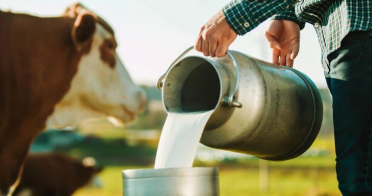 Las exportaciones del primer trimestre representaron el 30,1% del volumen de leche producido cuando en 2023