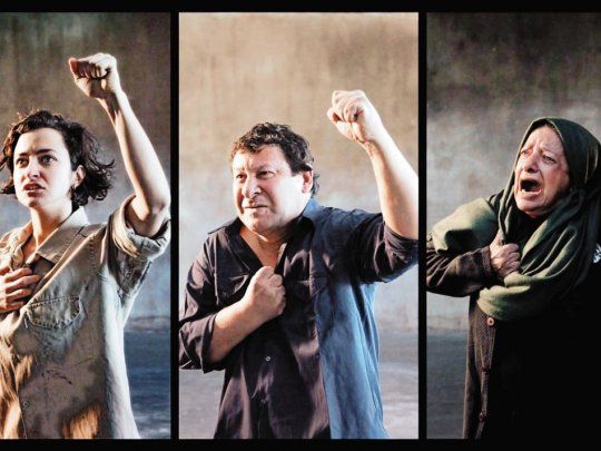 Gabriela Golder. Captura de la obra “Instancias de lucha”, ganadora del Primer Premio Adquisición.