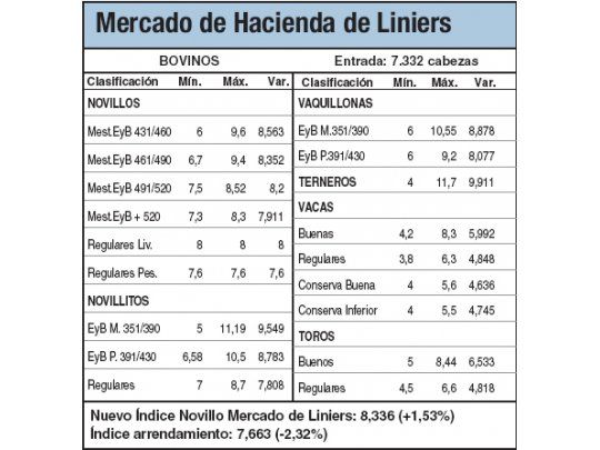 Nuevos récords en los terneros y novillitos