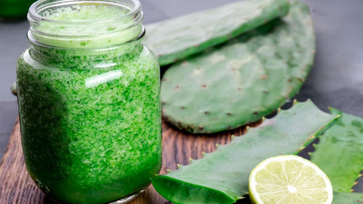 El LICUADO MÁGICO con NOPAL que te ayuda a QUEMAR GRASAS y tener el