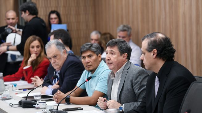 La oposición insiste con darle centralidad en la agenda parlamentaria al tema Discapacidad.