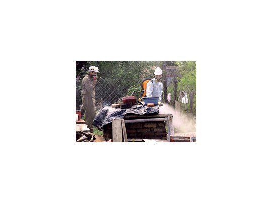Se intensifican los trabajos de fumigación en las zonas periféricas de las distintas provincias afectadas por la enfermedad.