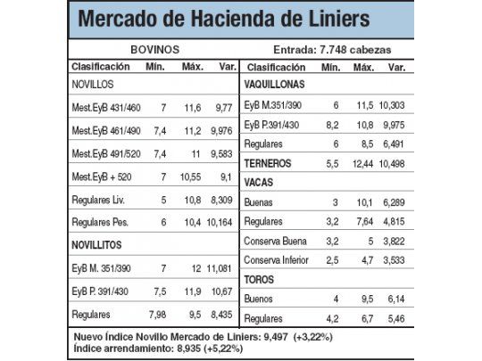 Novillos subieron entre el 3% y el 3,5%