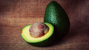 La palta tiene beneficios para la memoria.