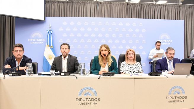 Se reunió la Comisión de Previsión y Seguridad Social de la Cámara de Diputados.