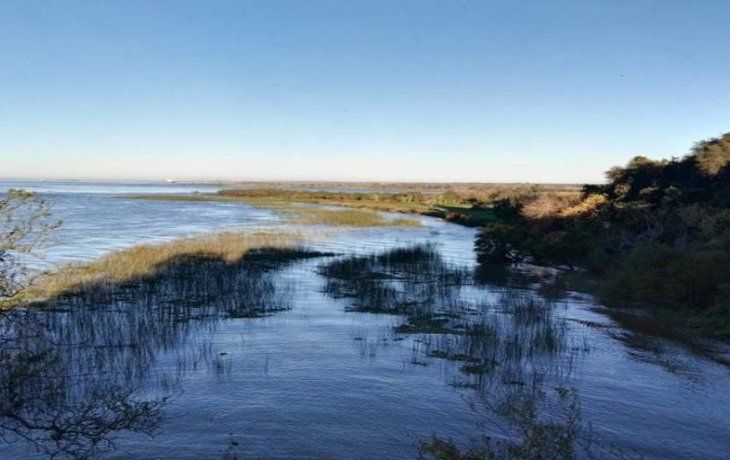 Descubrieron que hace cinco mil años la zona estaba cubierta por el mar.