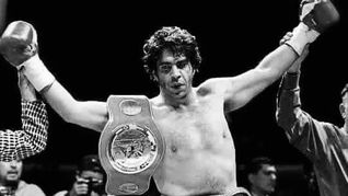 La carrera de Jorge Kahwagi Macari como boxeador. La carrera de Jorge Kahwagi Macari como boxeador.