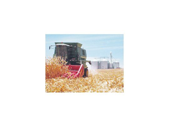 El lunes el Departamento de Agricultura de Estados Unidos (USDA) informó que la cosecha de maíz avanzó un 39%, un ritmo récord y por encima del promedio en los últimos cinco años del 13%.