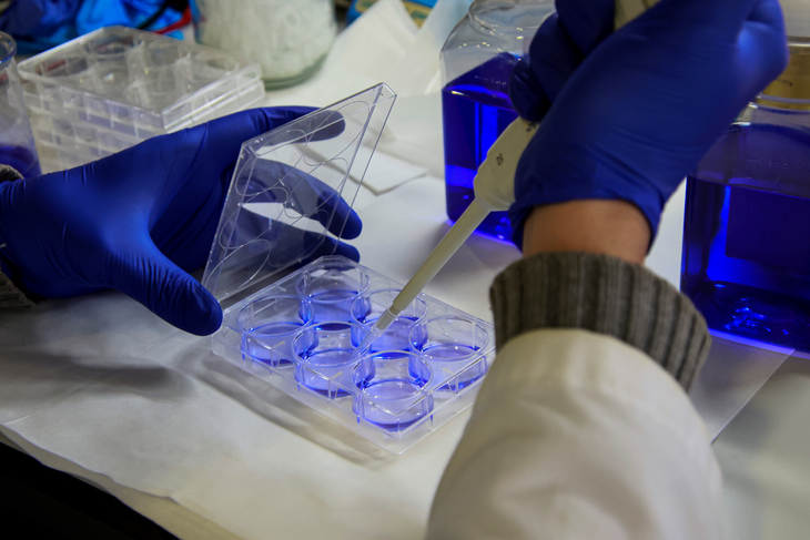 Es el primer laboratorio del país que se dedica a este tipo de biología. Es el primer laboratorio del país que se dedica a este tipo de biología.