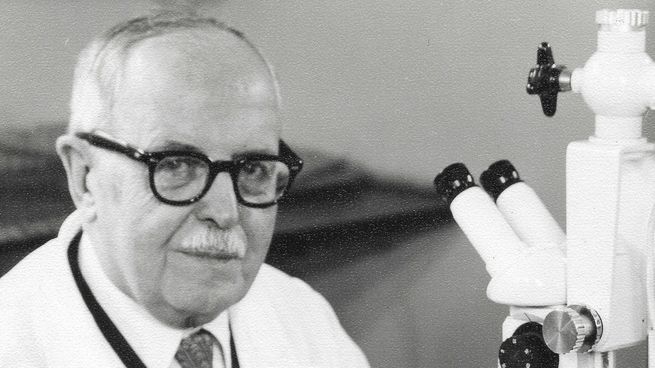 En 1982, la UNESCO estableció el Día Mundial de la Ciencia y la Tecnología en su honor.