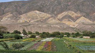 Comida, cultura y paisajes hermosos, este destino tiene lo que todo viajero busca. Comida, cultura y paisajes hermosos, este destino tiene lo que todo viajero busca.