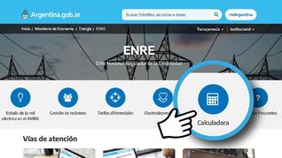 Unificados. Hasta tanto no se constituya el nuevo Ente, los actuales ENRE y Enargas continuarán en ejercicio de sus funciones respectivas.