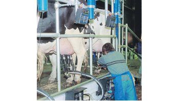 Los productores ganaderos europeos podrán unirse para negociar un mejor precio por la leche que venden a las industrias.